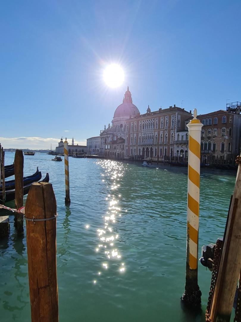 Friendly Venice