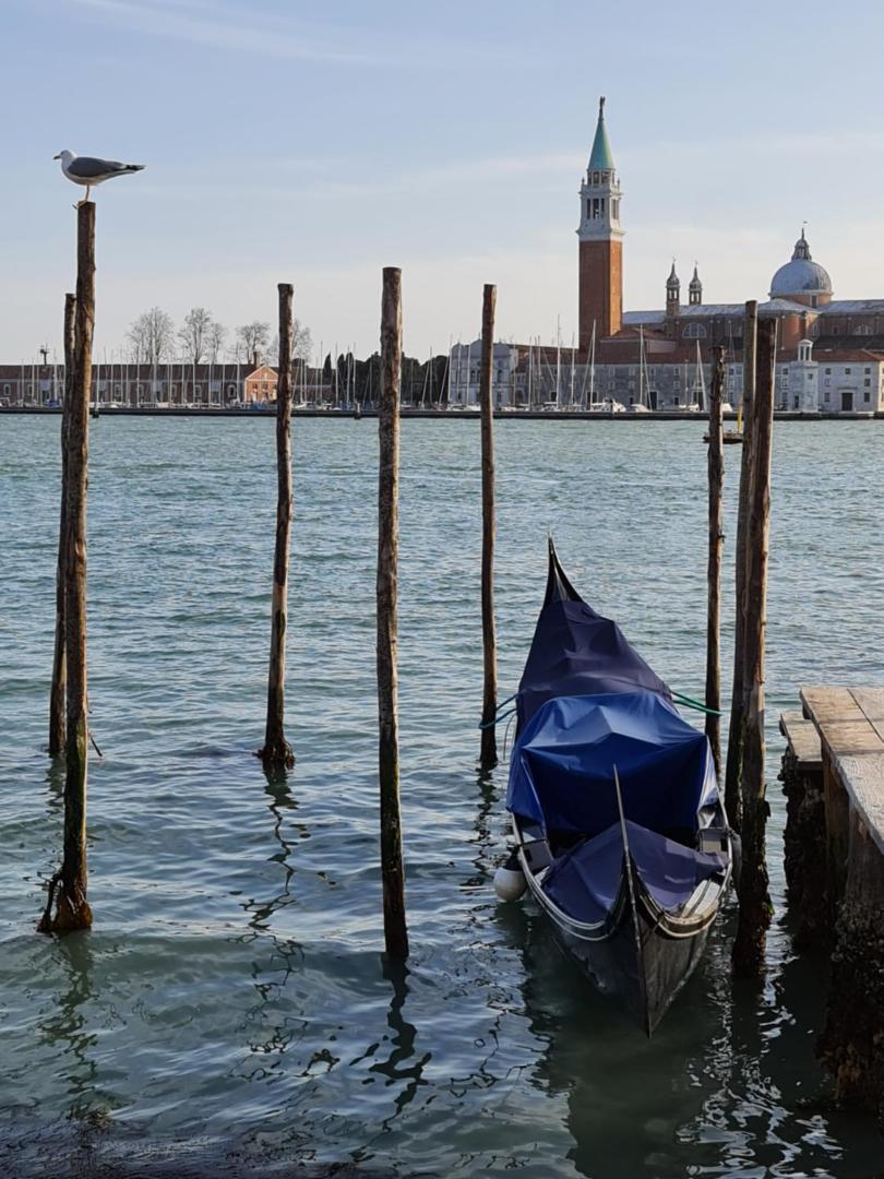 Friendly Venice