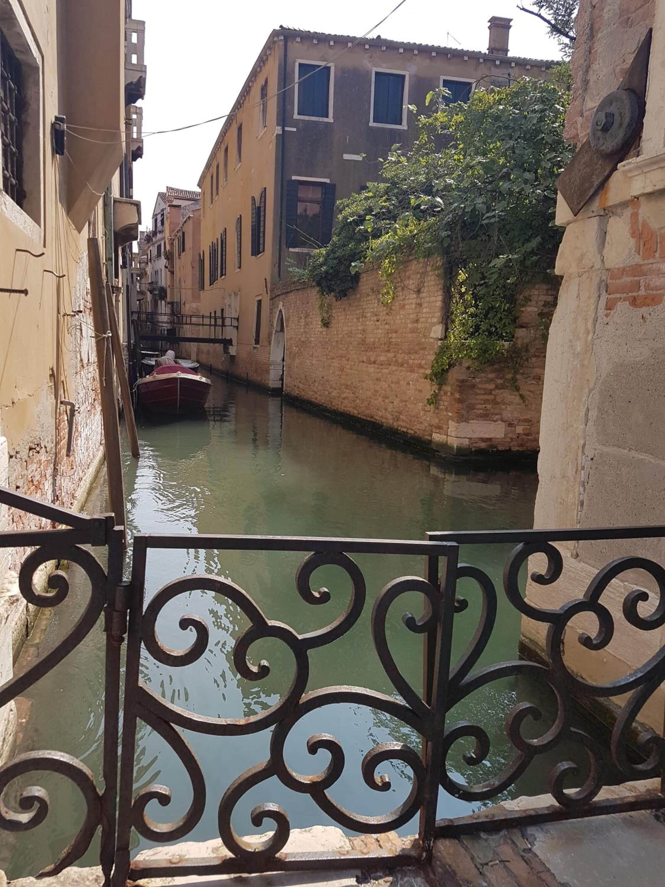 Friendly Venice