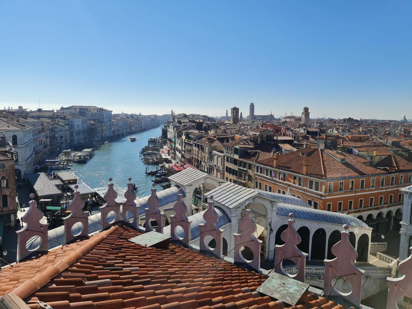 Friendly Venice
