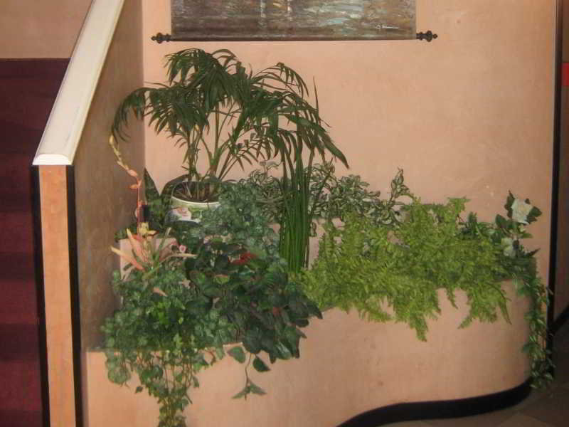 Hotel Kappa