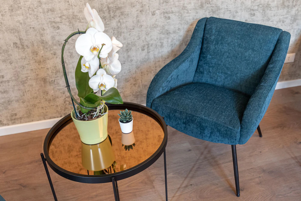 La Finestra Sulle Beccarie