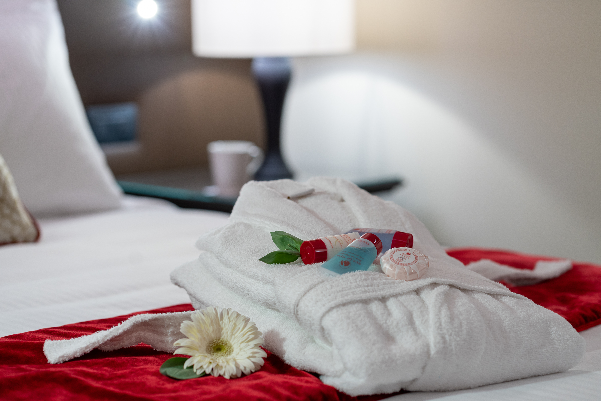 Leonardo Royal Hotel Venice Mestre