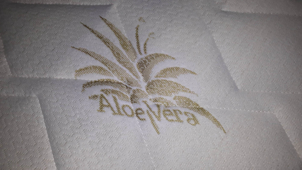 Rousseau's Apartment