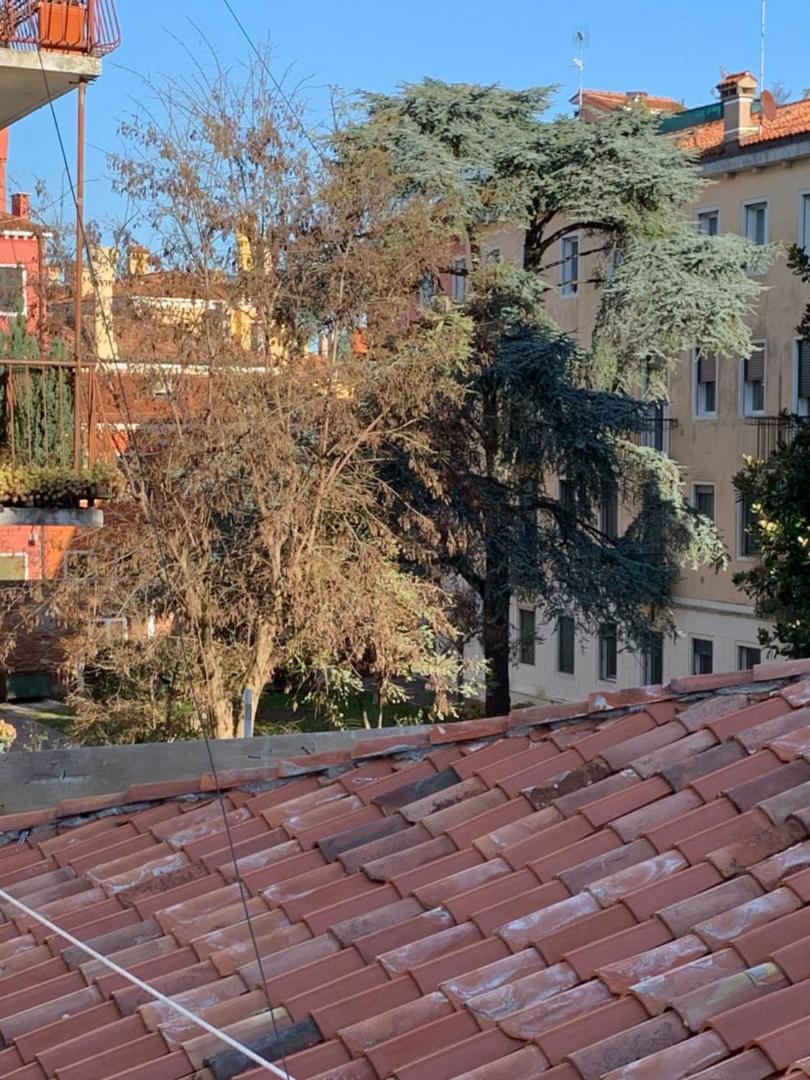 Royal Guest House Venice