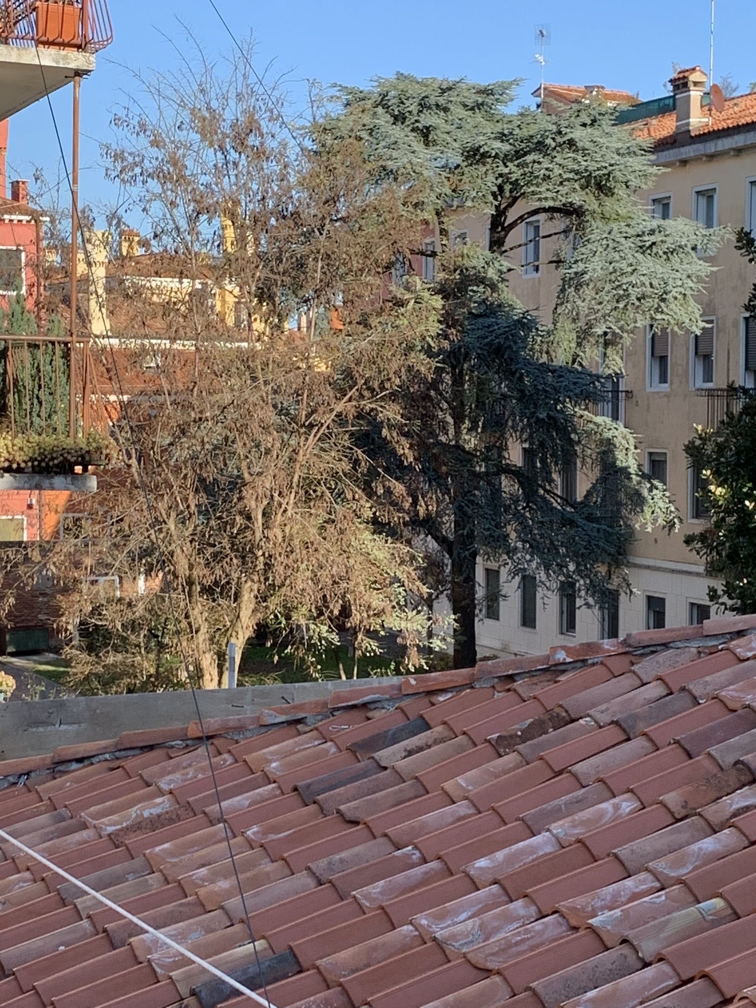 Royal Guest House Venice