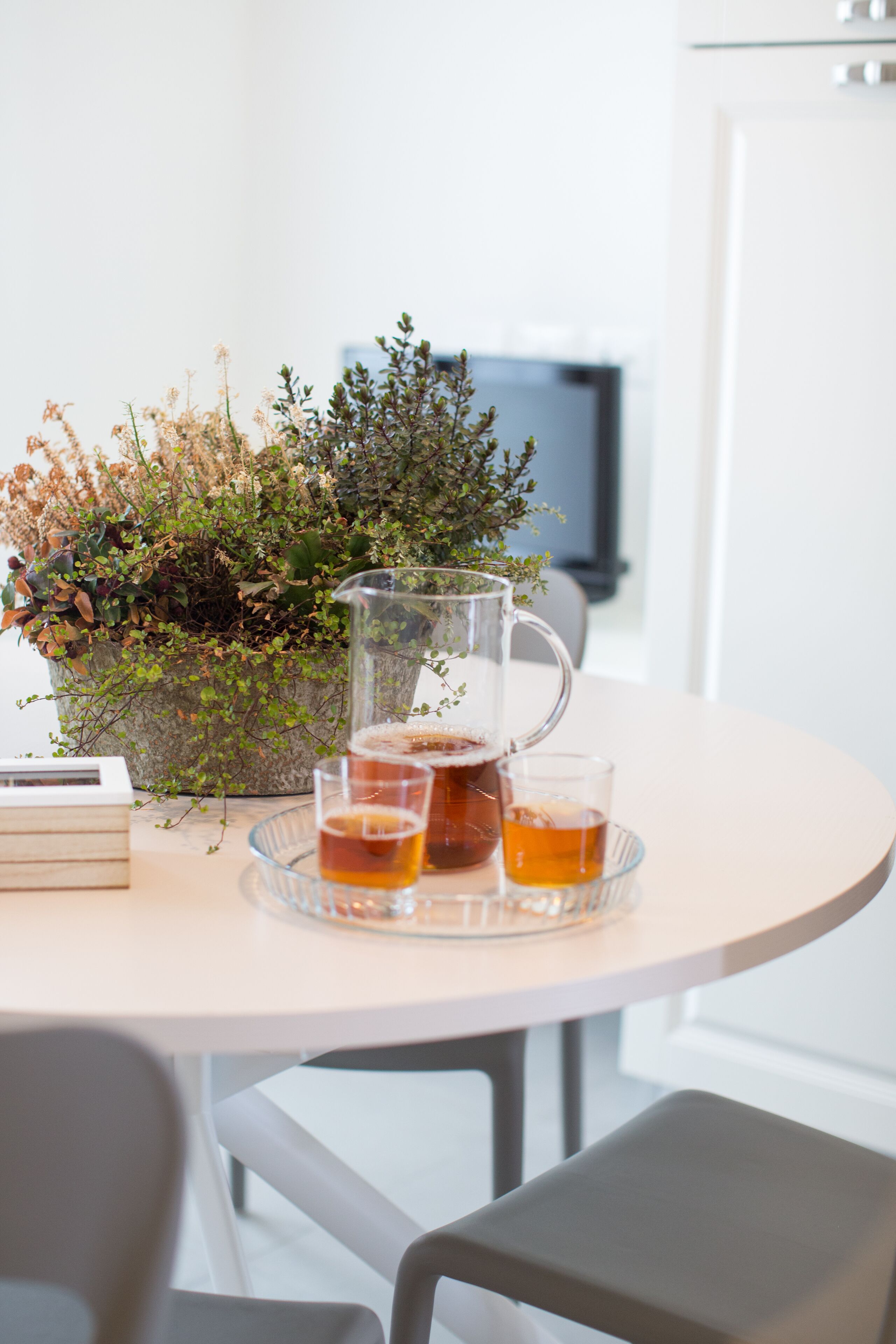 Venezia Fly Apartments