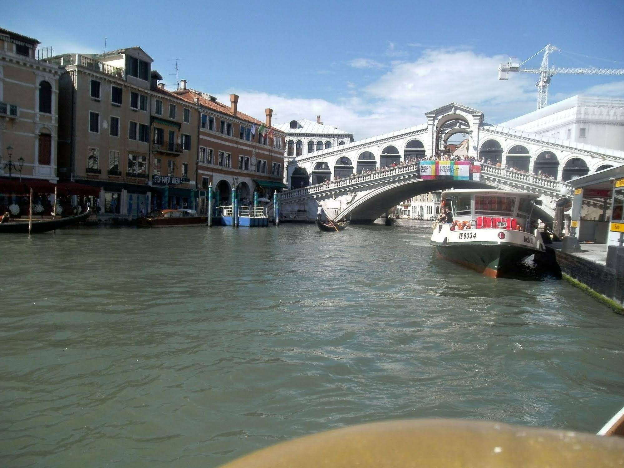Venice Star