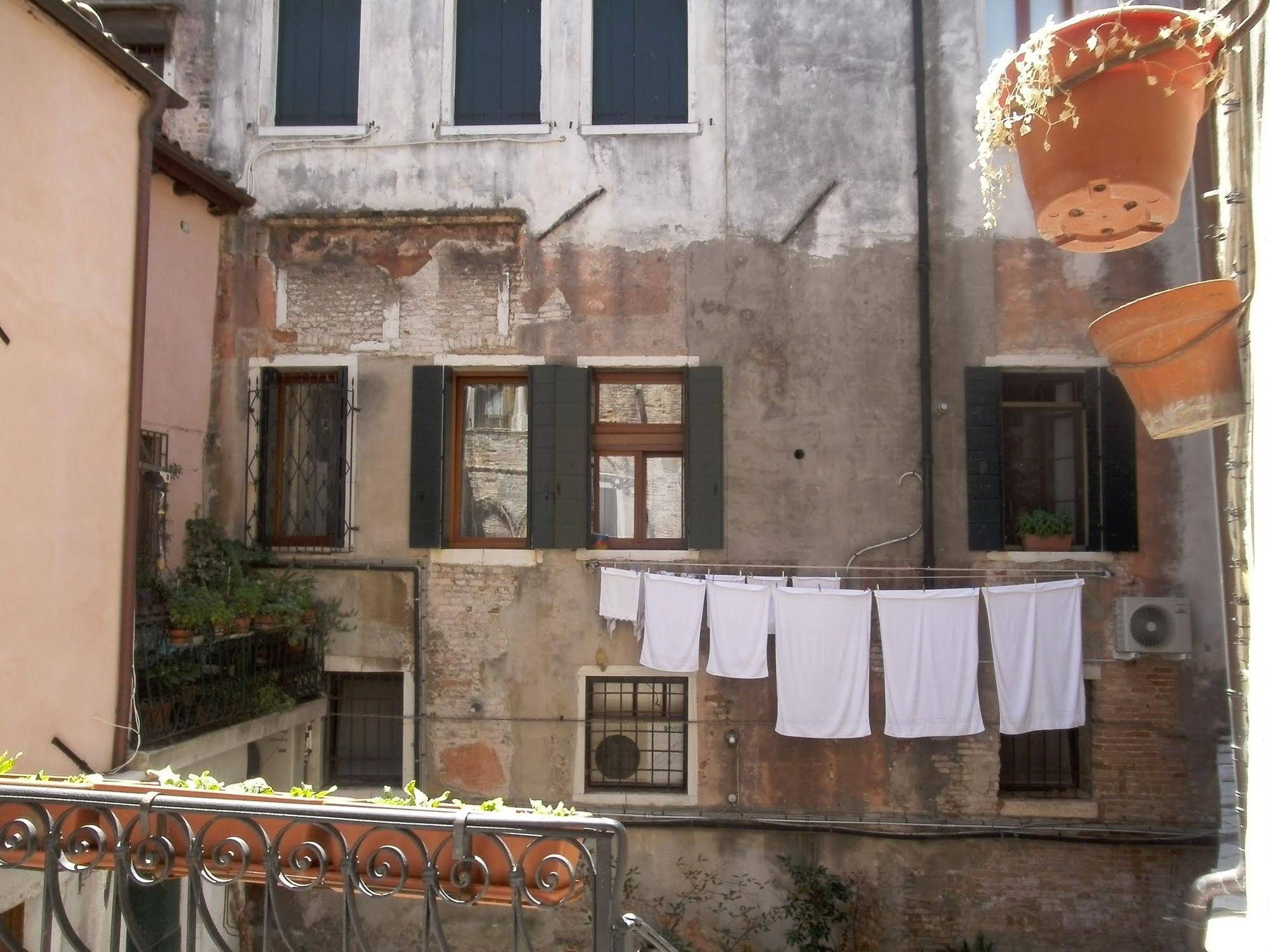 Venice Star