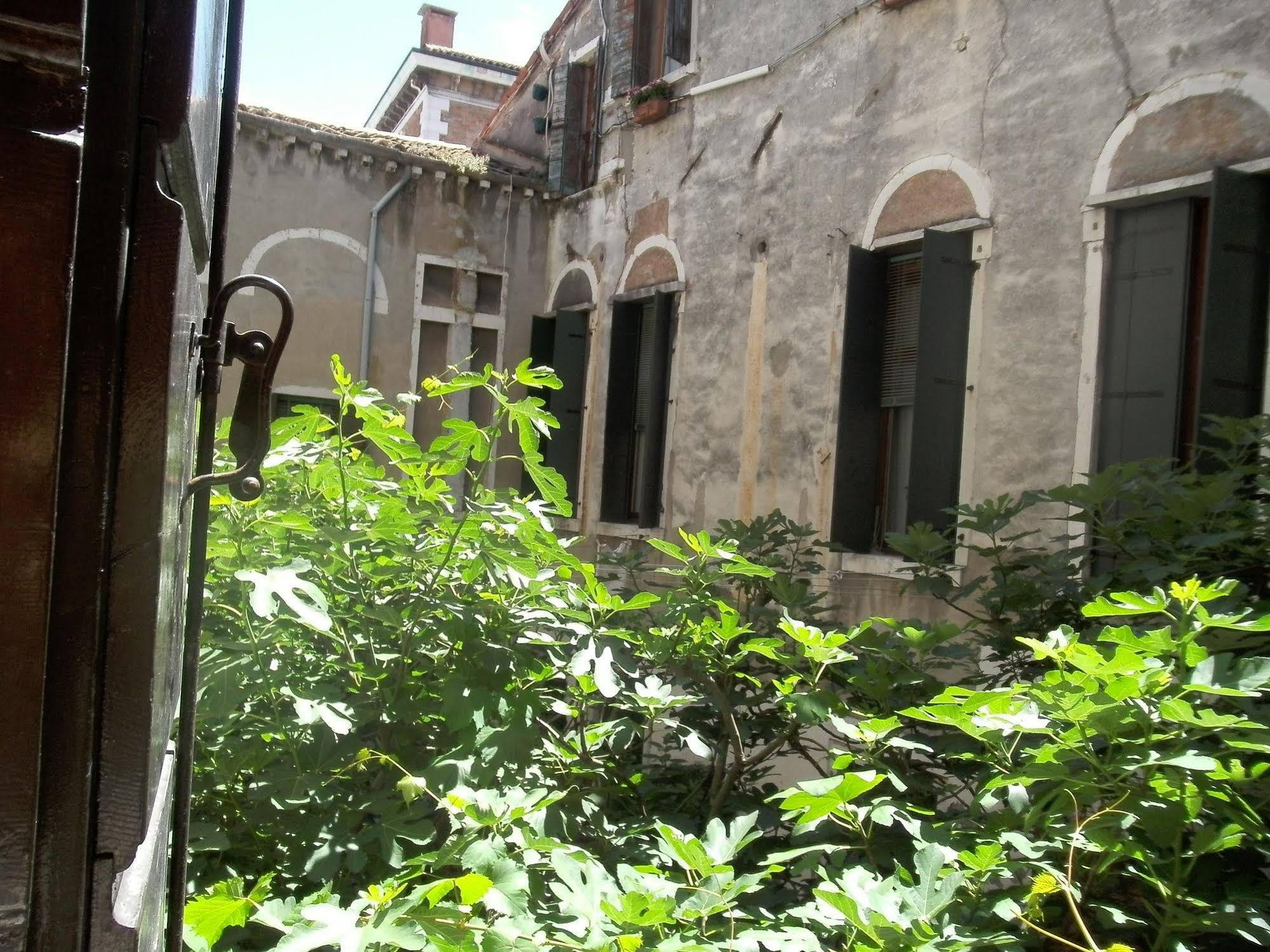 Venice Star