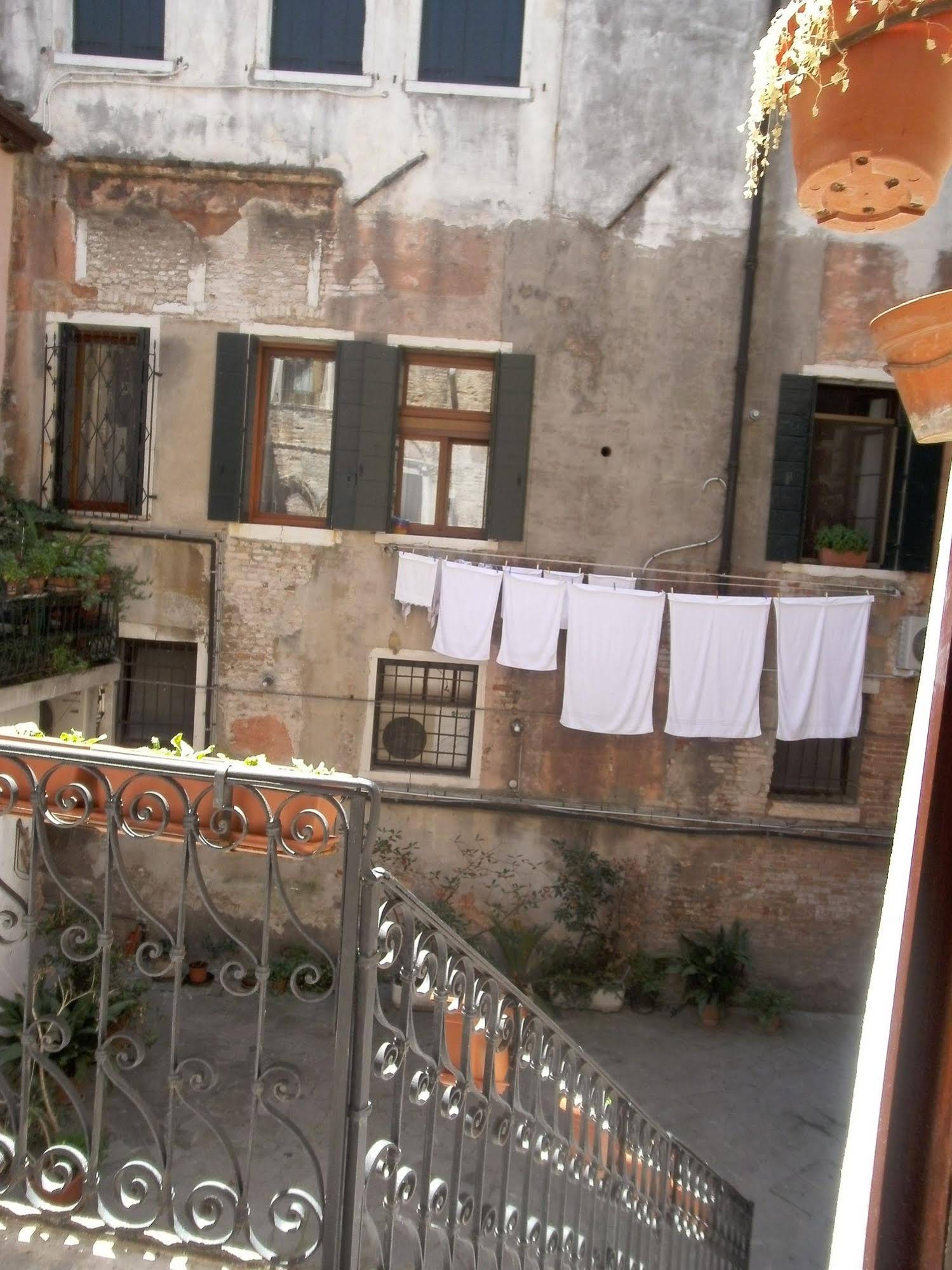 Venice Star