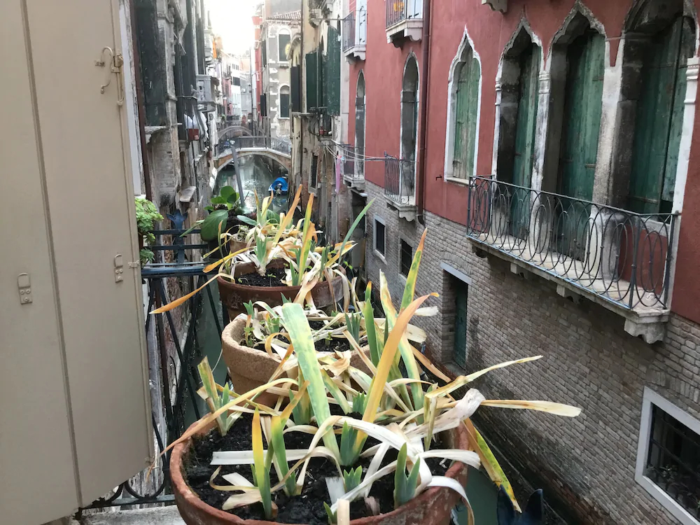 Venice Sun Apartment And Rooms