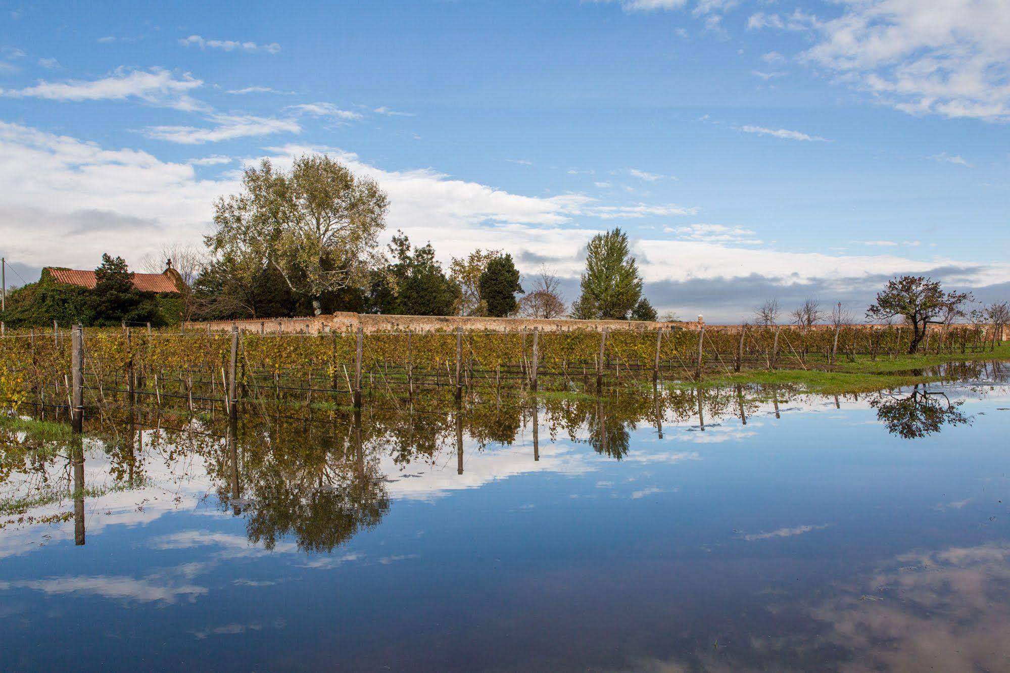 Venissa Wine Resort