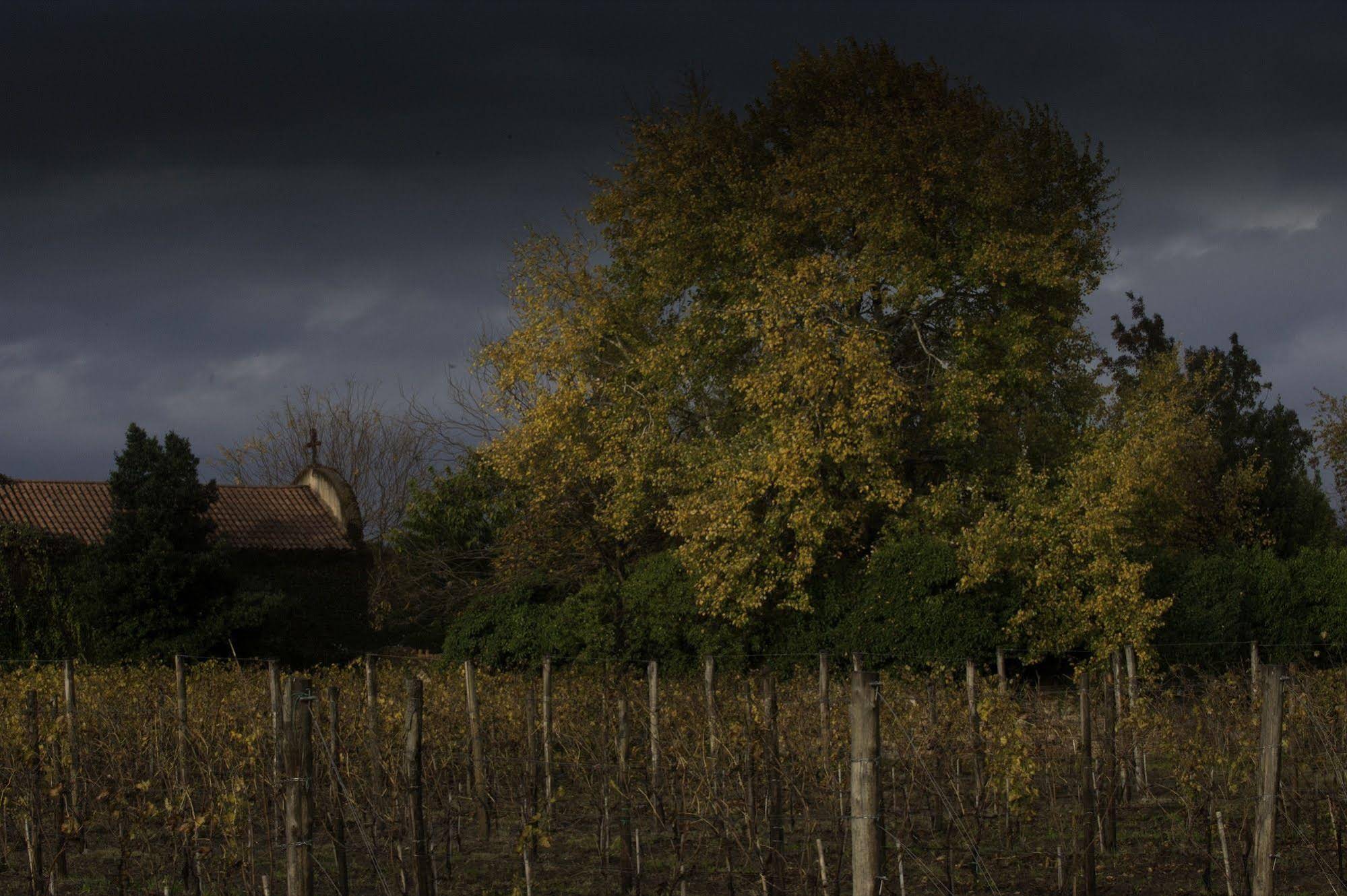 Venissa Wine Resort