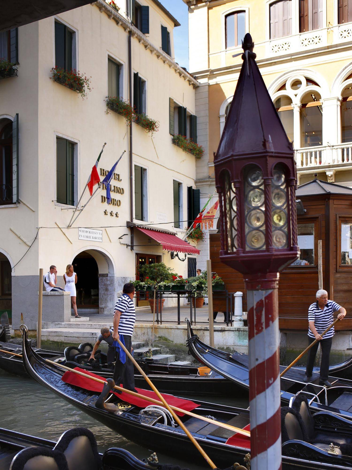 Violino D'Oro