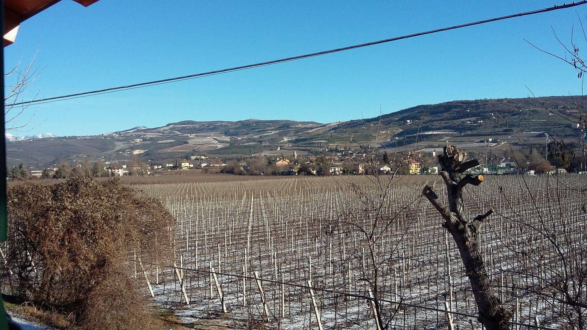 Agriturismo Corte Carolina