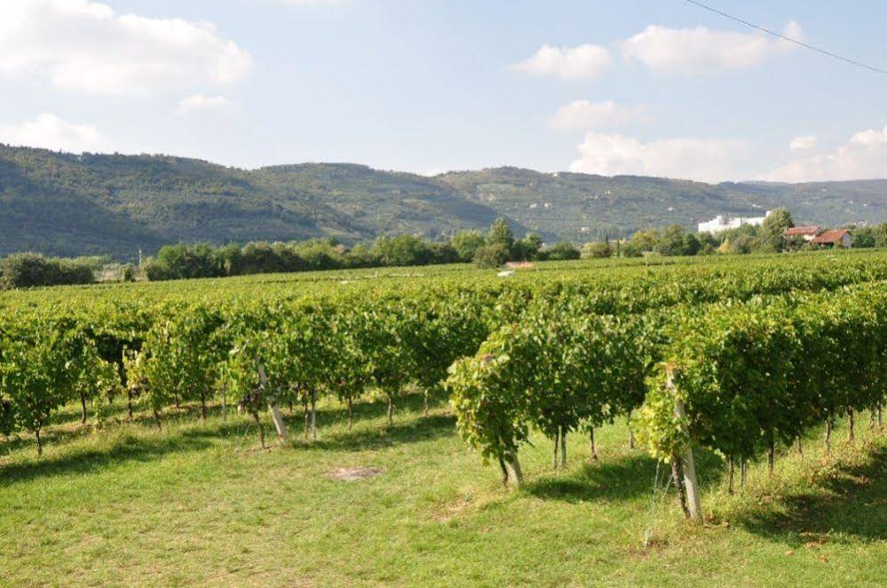 Agriturismo Corte Moranda