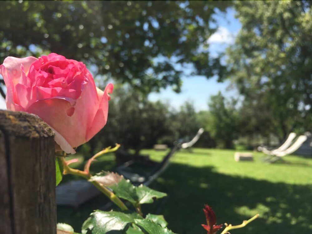 Agriturismo La Perlara
