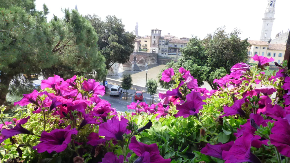 La finestra sul Ponte by Postcardsfrom