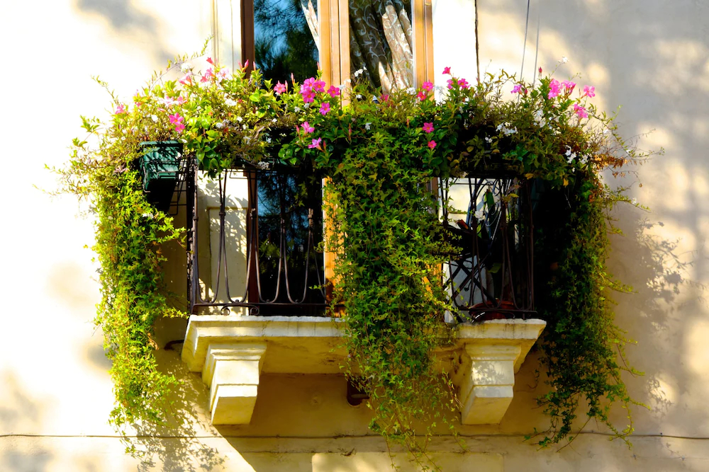 La finestra sul Ponte by Postcardsfrom