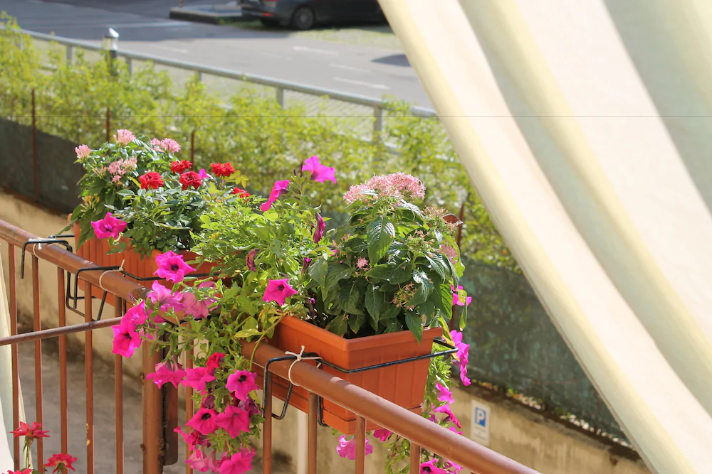 Bed And Breakfast Delle Rose