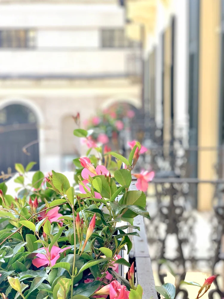 Bue Nero Suites Verona