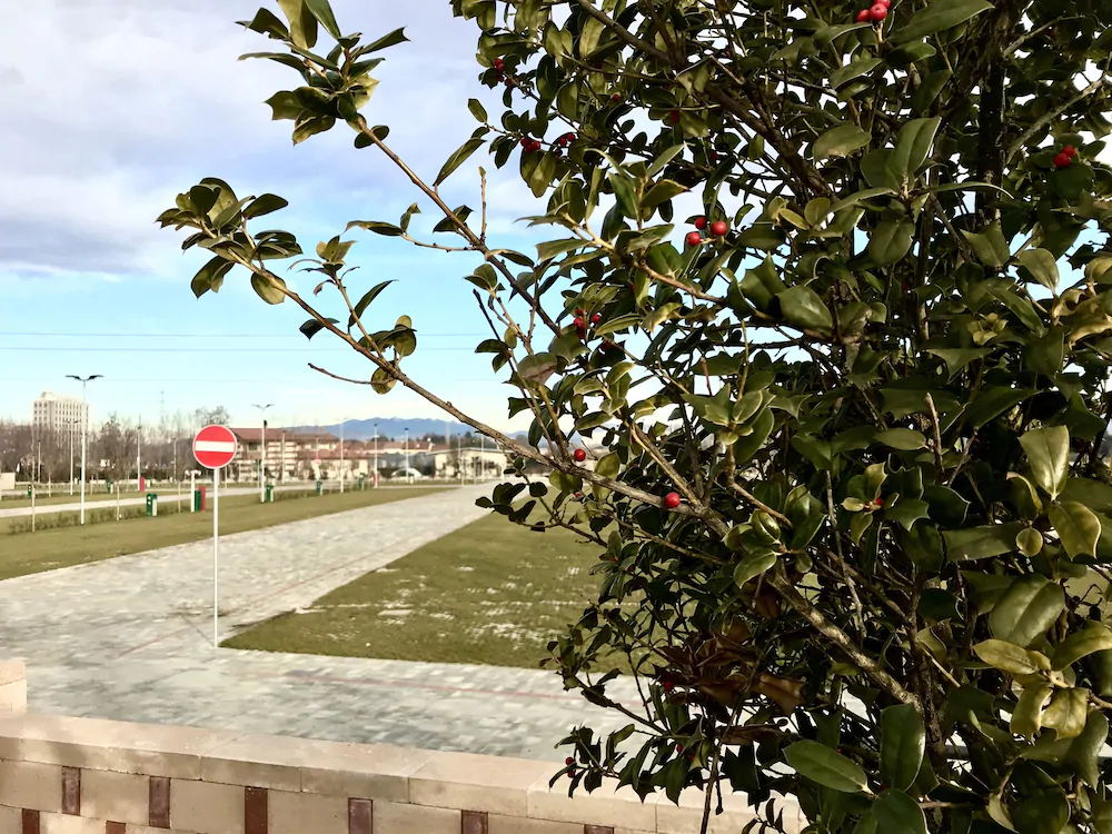 Camping Verona Village