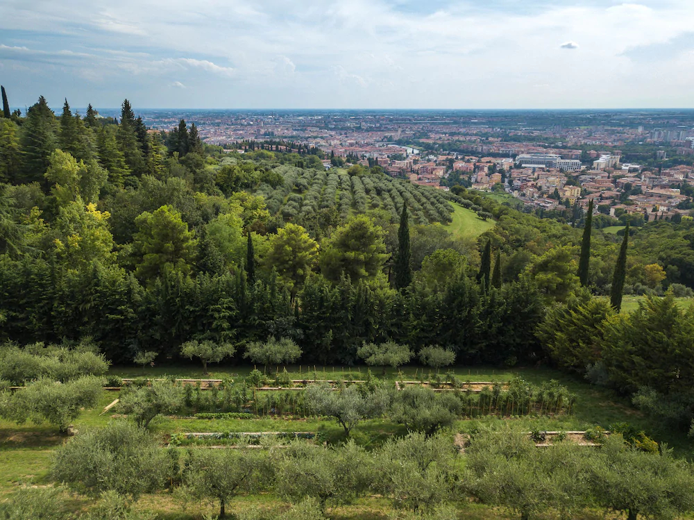 Cà Toresele Relais Osteria Garden