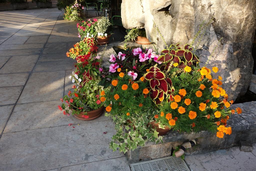 Euromotel Croce Bianca