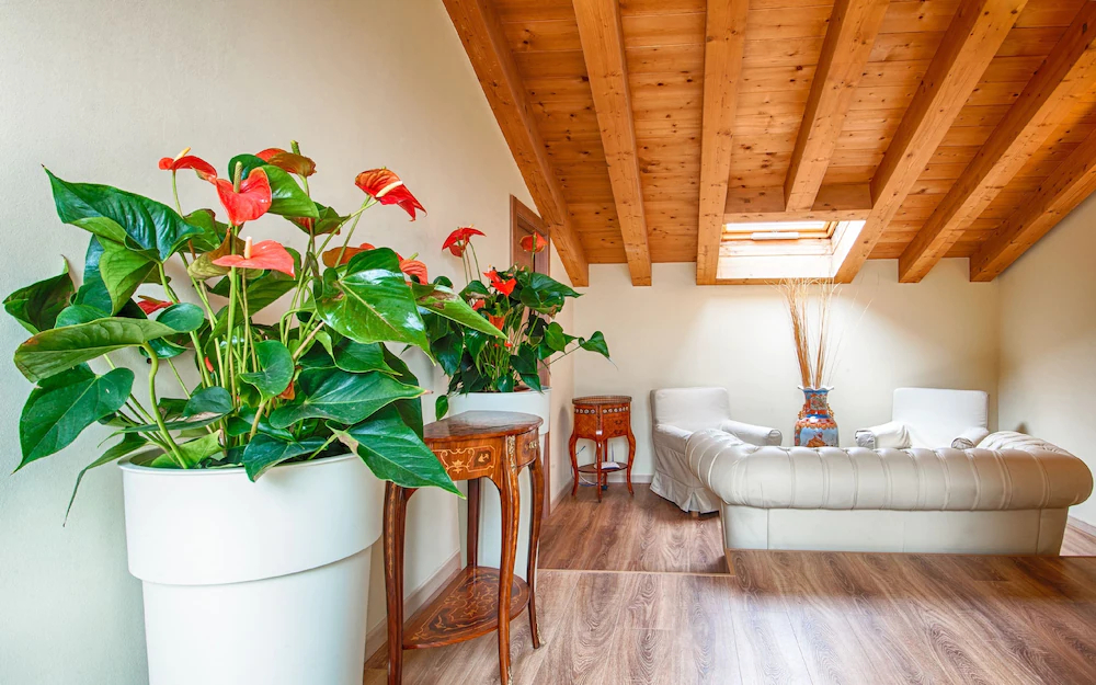 Lady Verona Residence