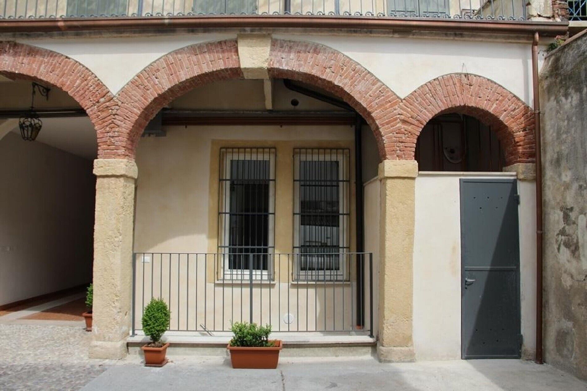 La Vigna In Città Il Vigneto
