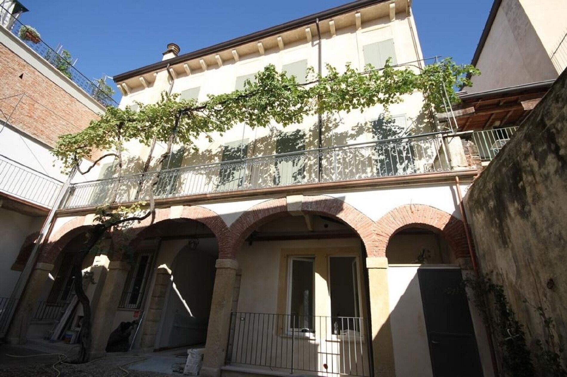 La Vigna In Città Il Vigneto