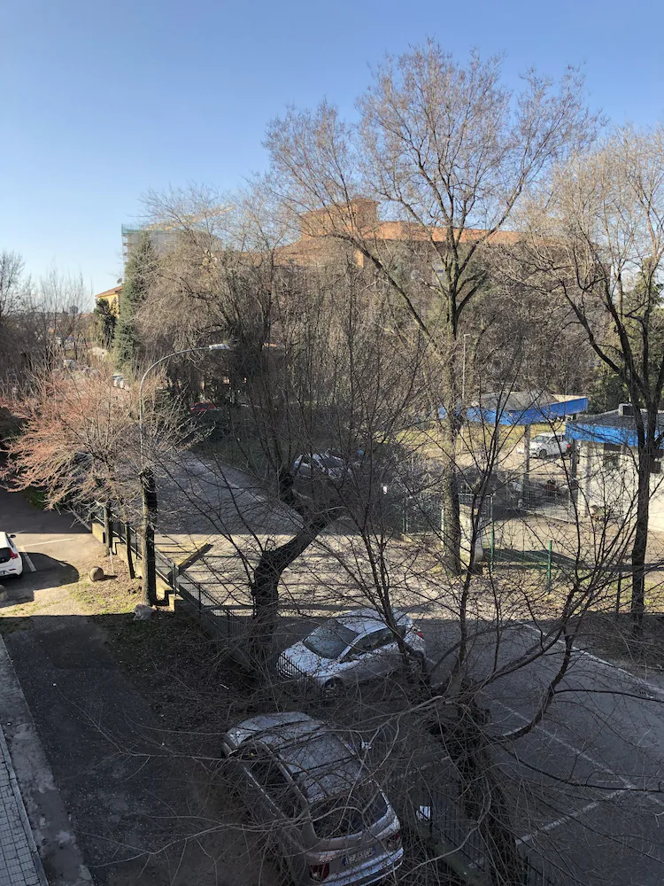 Le Notti Di Giulietta