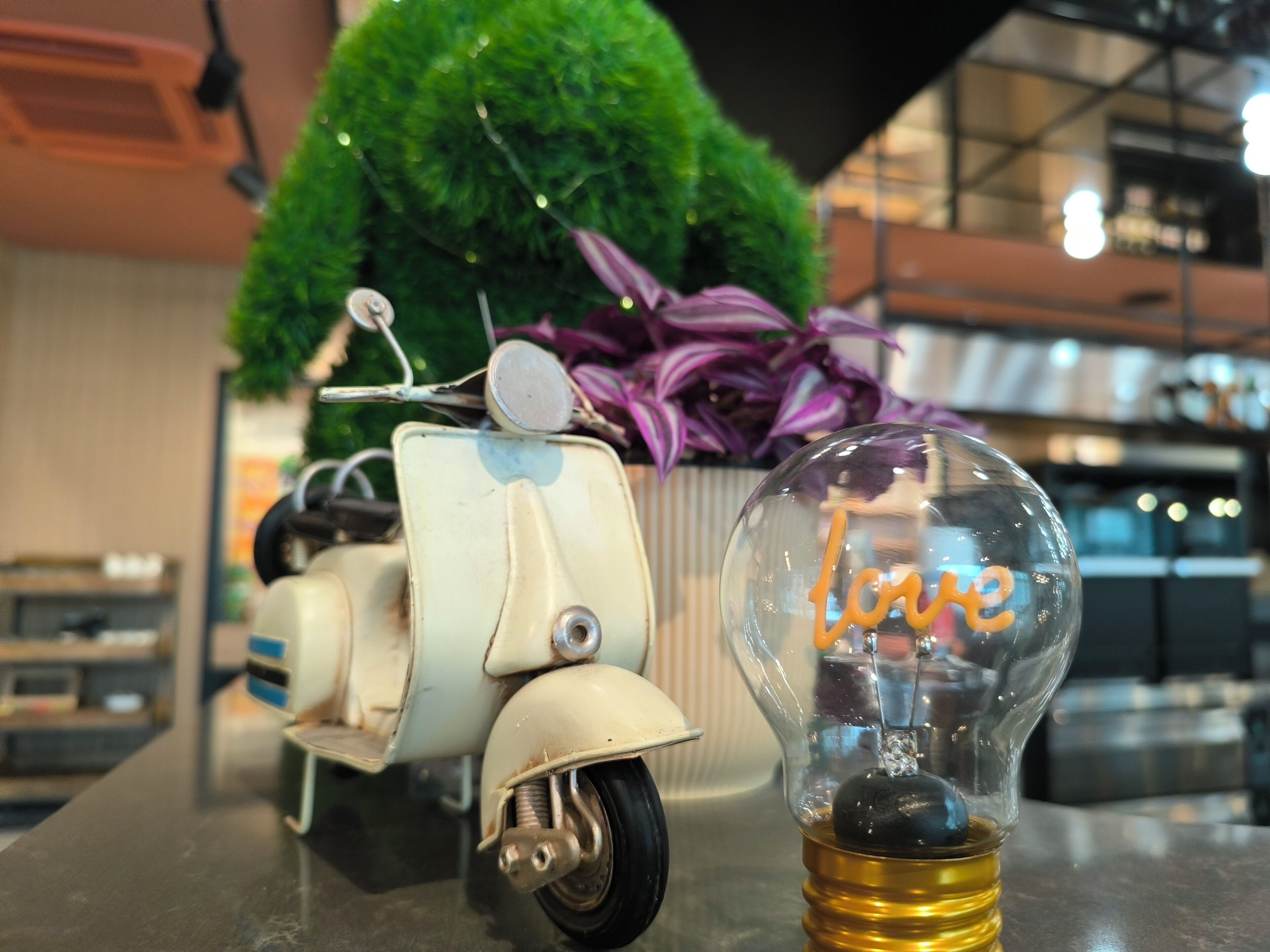 Moxy Verona