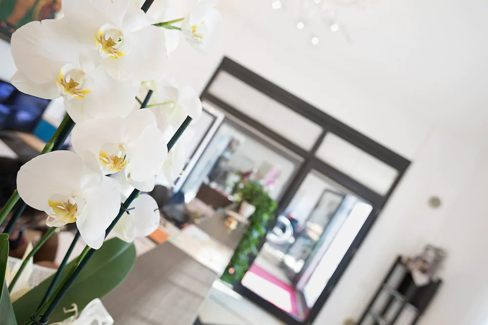 Residence Verona Class