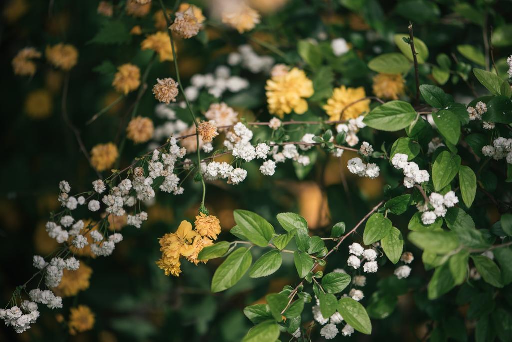 Residenza Le Batesine