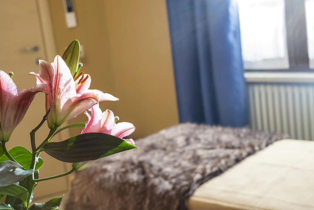 Romeo House Affittacamere