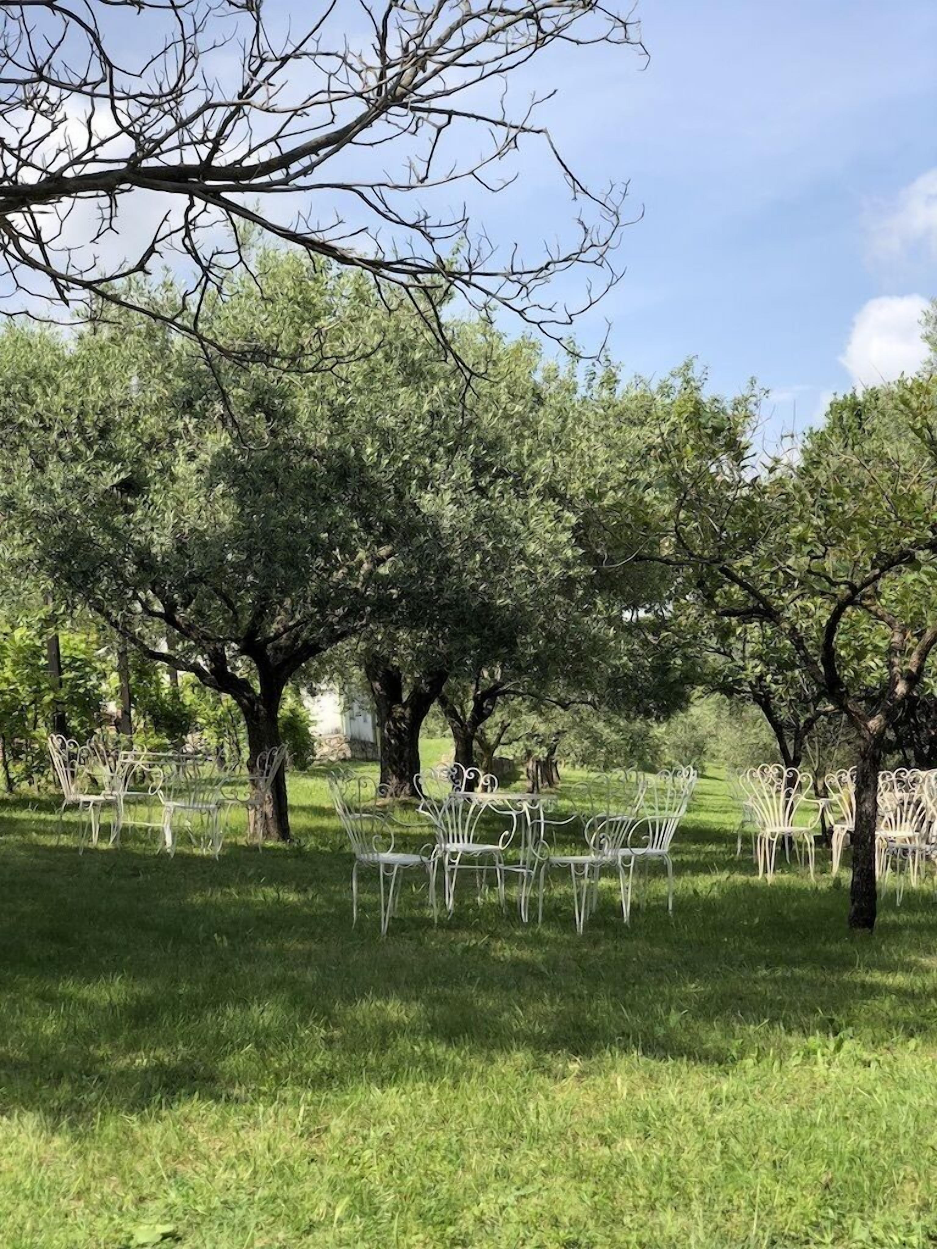 Villa L'Oliveta