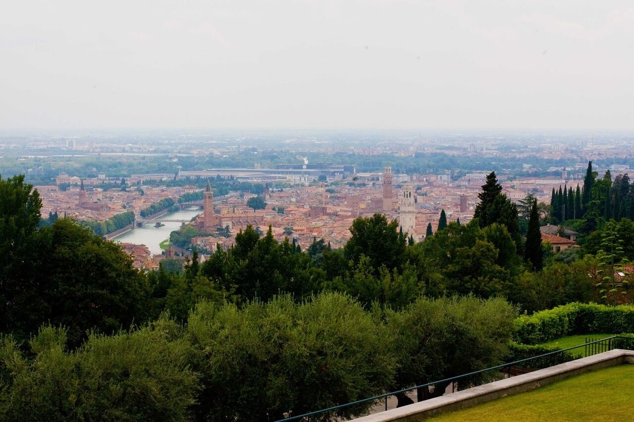 Villa L'Oliveta
