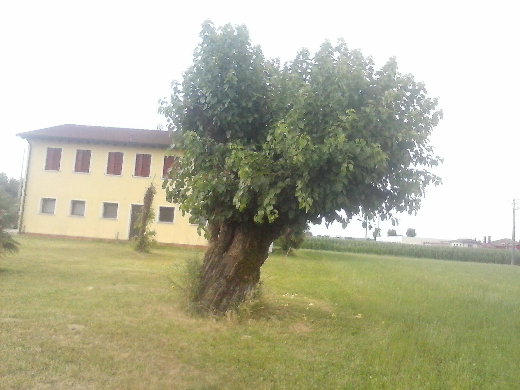 Agriturismo Ceppo