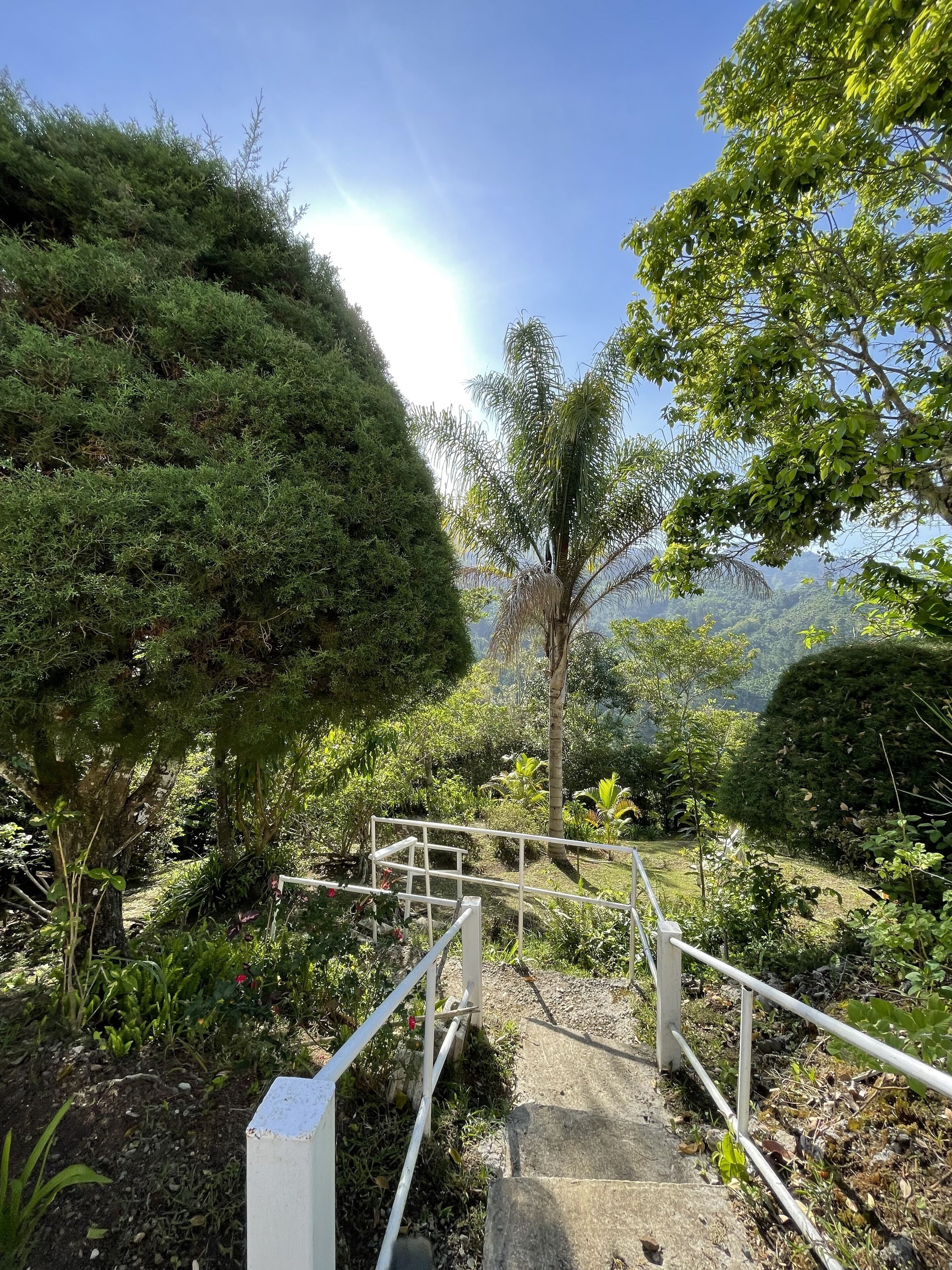 Star Light Chalet and Health Spa