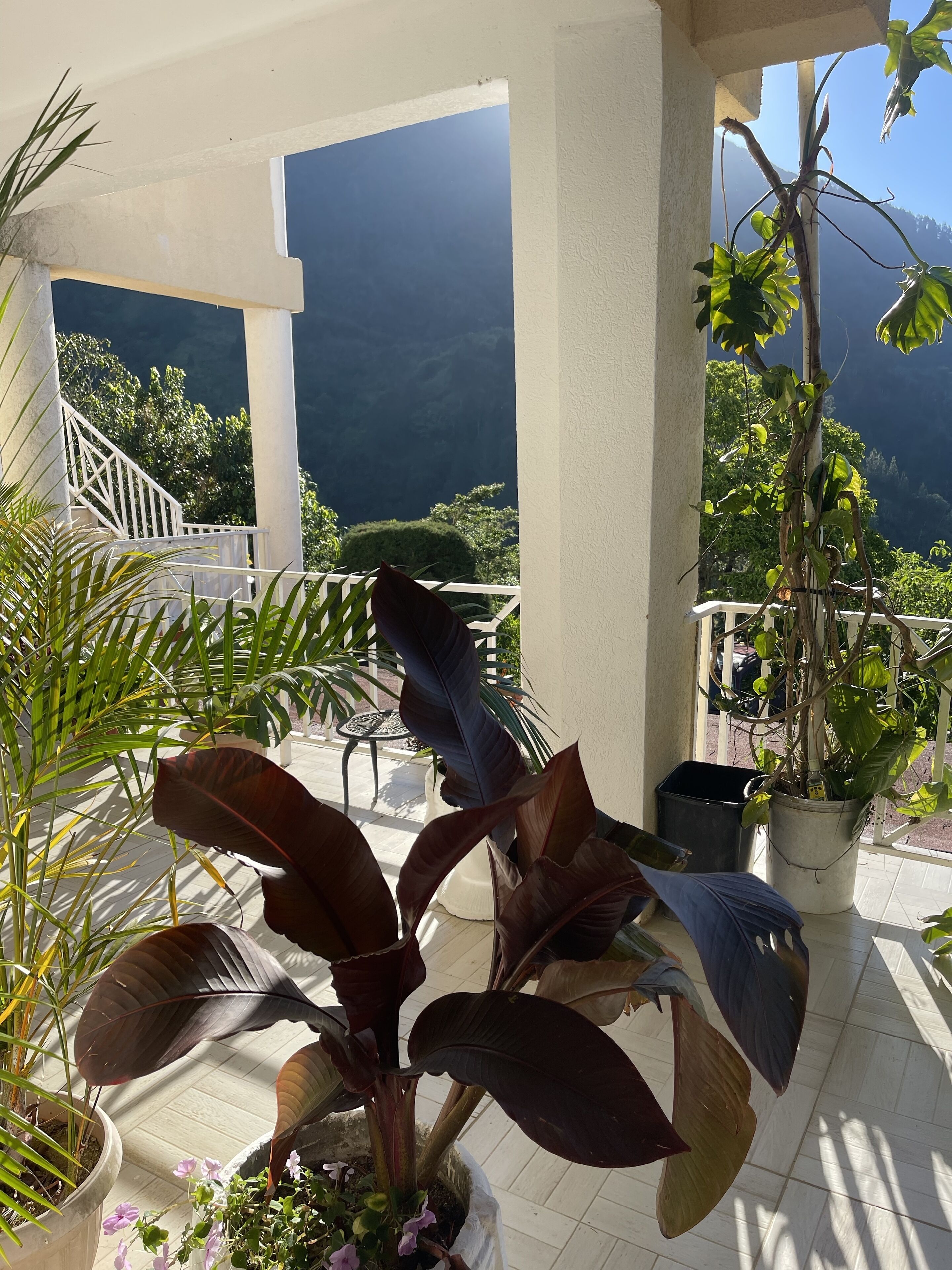 Star Light Chalet and Health Spa