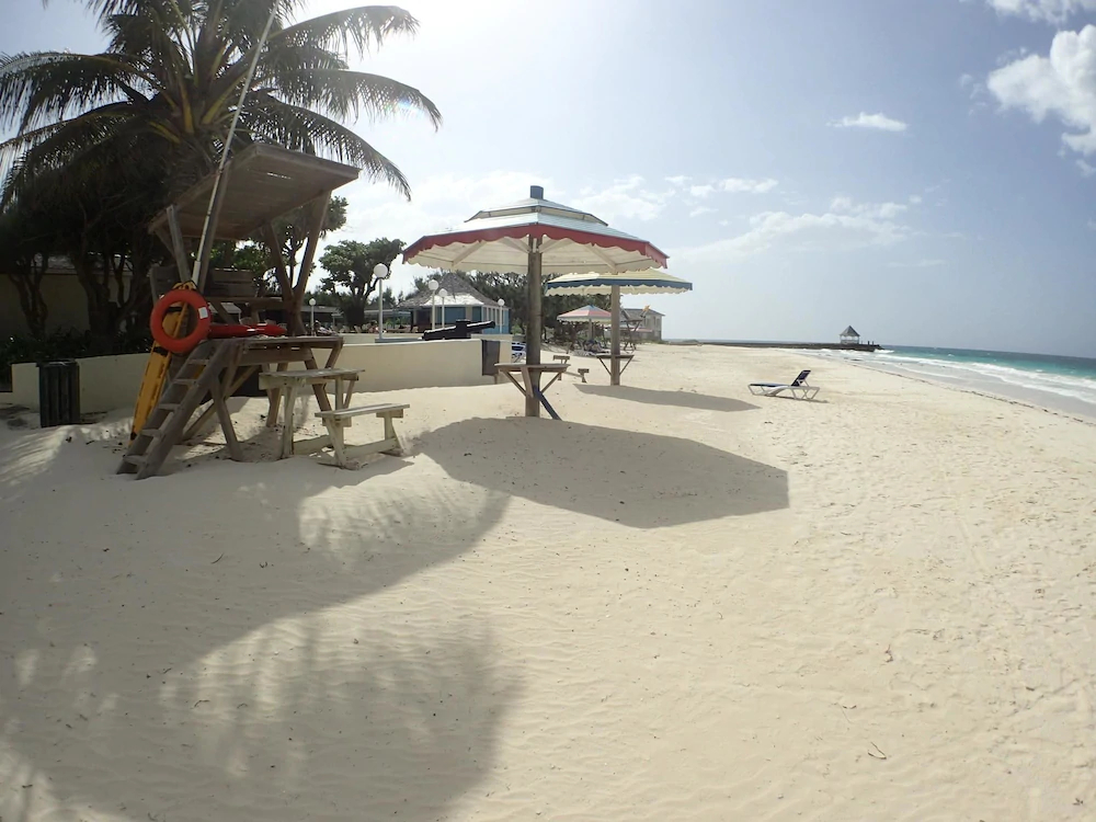 Hang Time by Jamaican Treasures