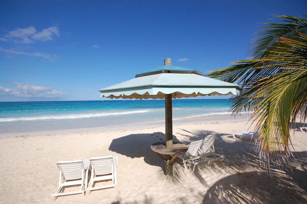 Hang Time by Jamaican Treasures