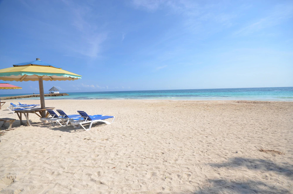 Hang Time by Jamaican Treasures