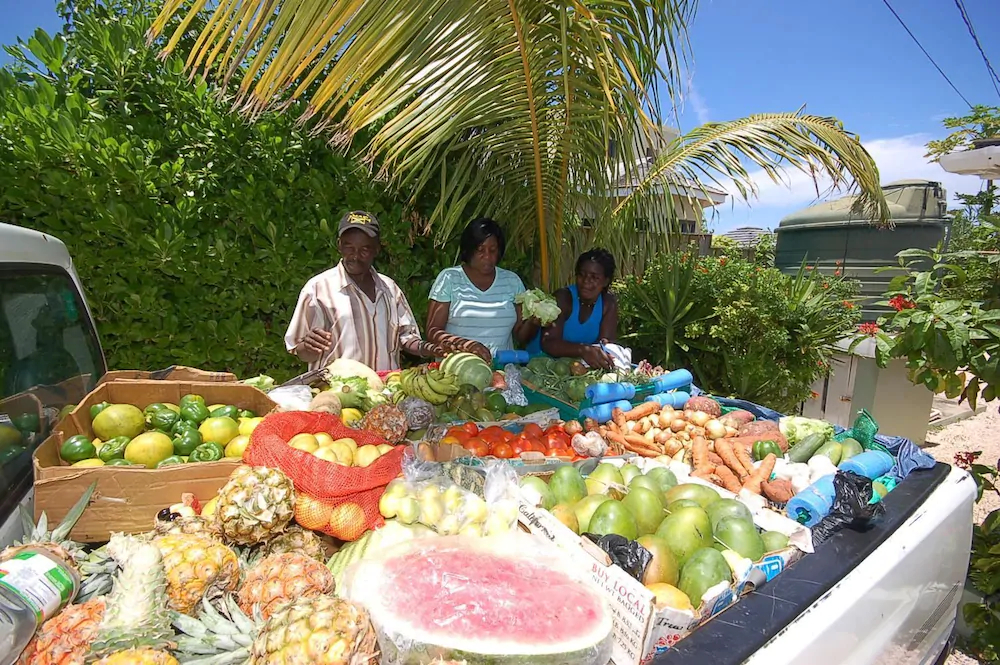 Hang Time by Jamaican Treasures