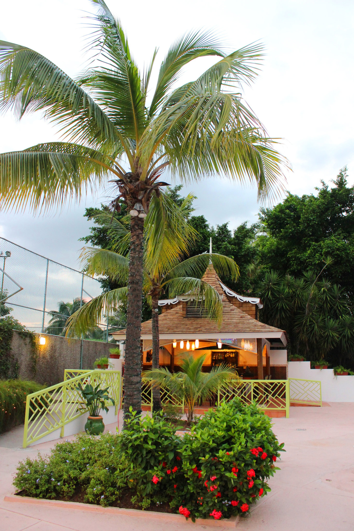 Jamaica Pegasus
