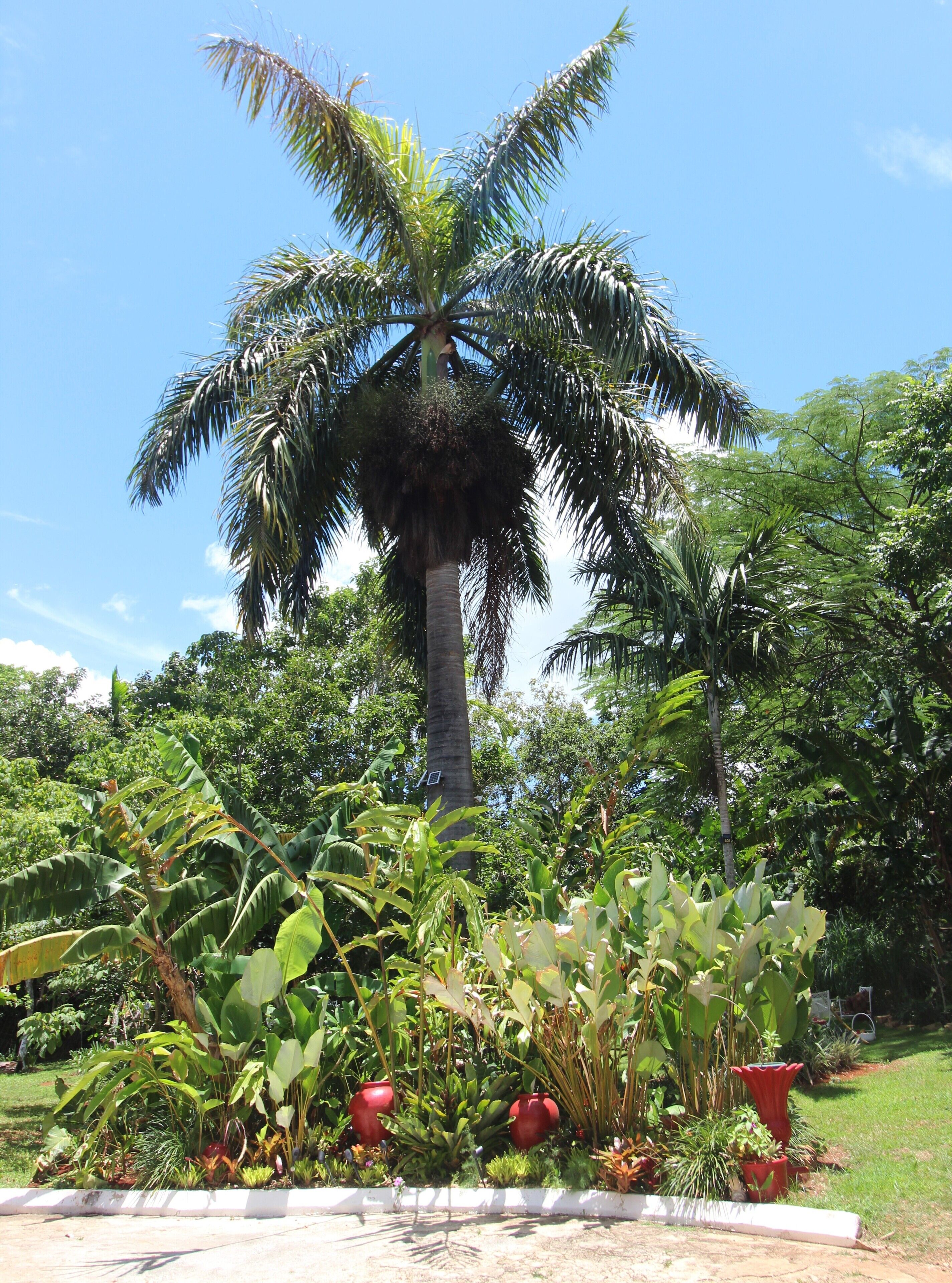 Casa da Buena Vista