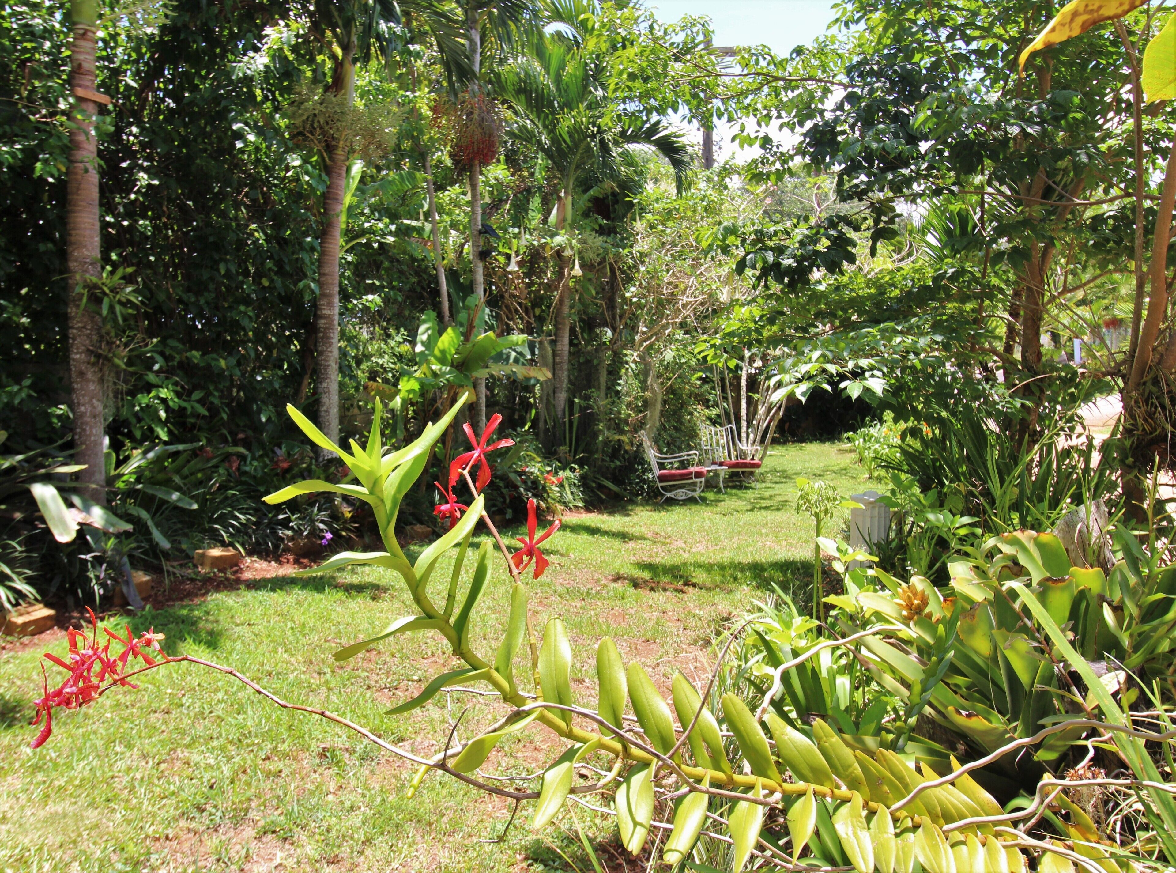 Casa da Buena Vista