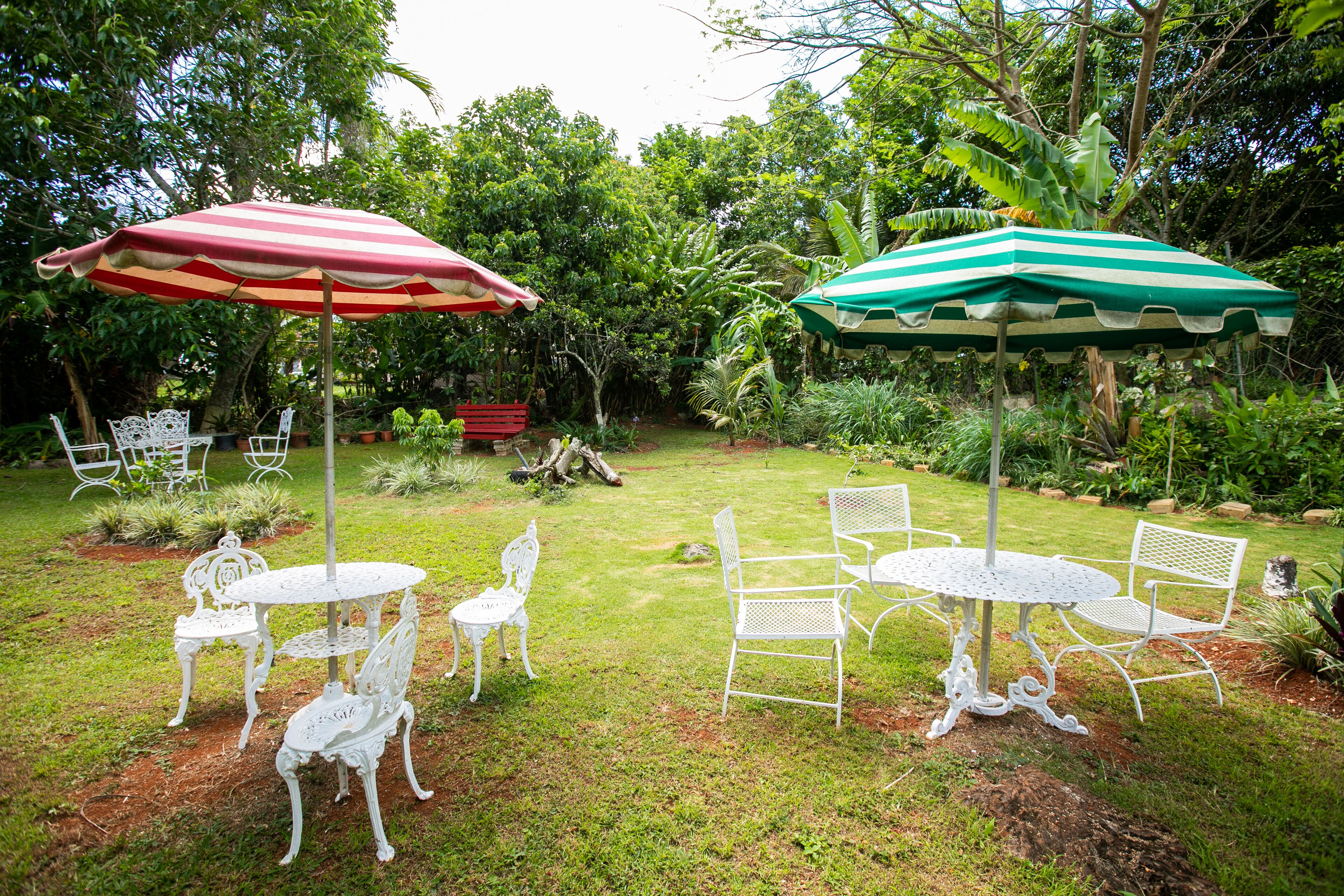 Casa da Buena Vista
